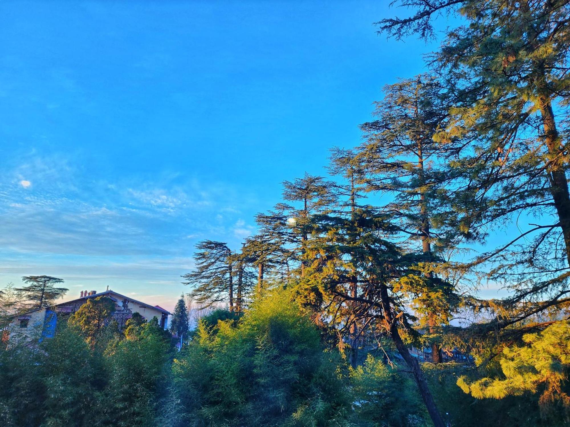 Hotel Pineview Shimla Dış mekan fotoğraf