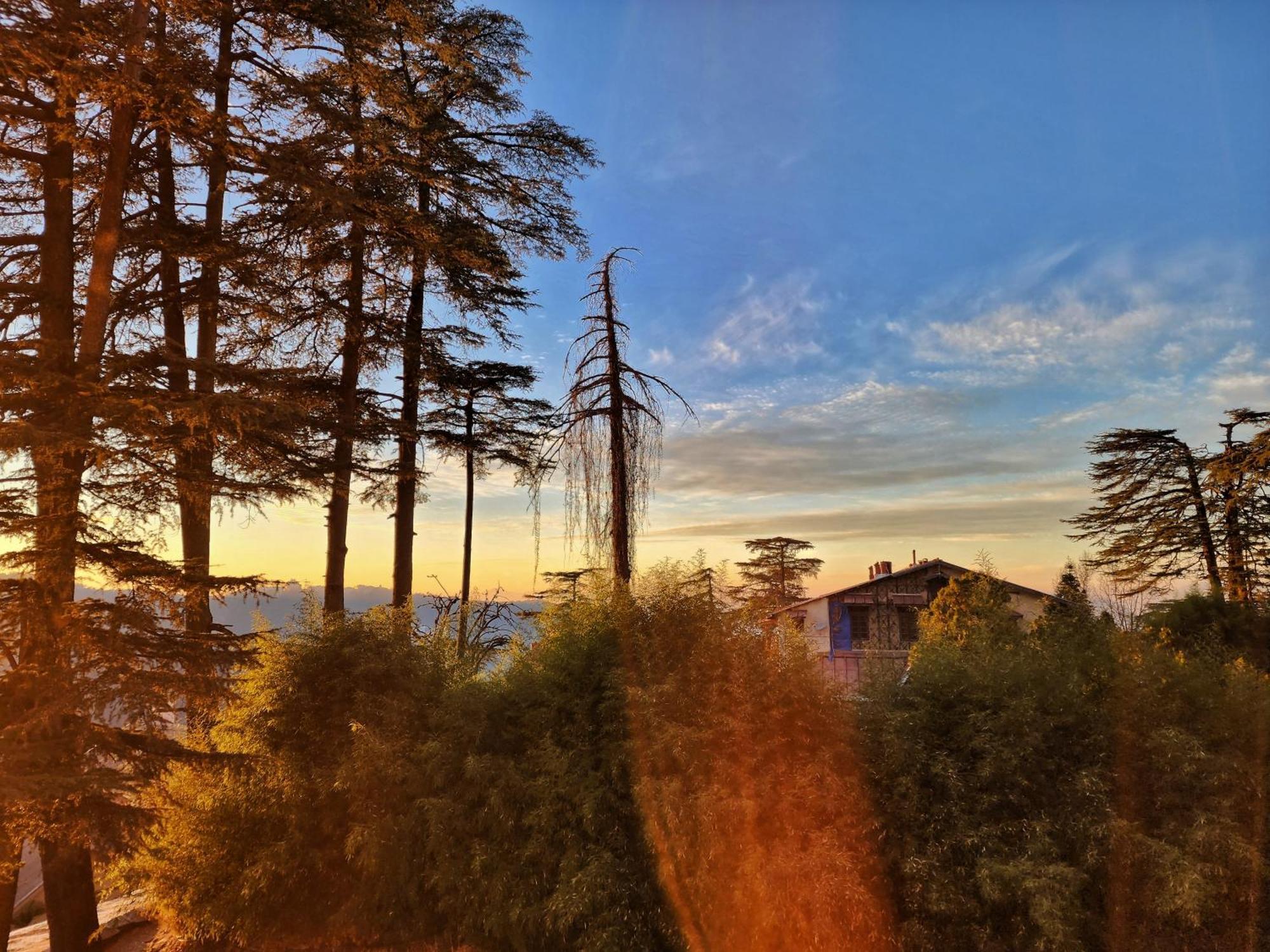 Hotel Pineview Shimla Dış mekan fotoğraf