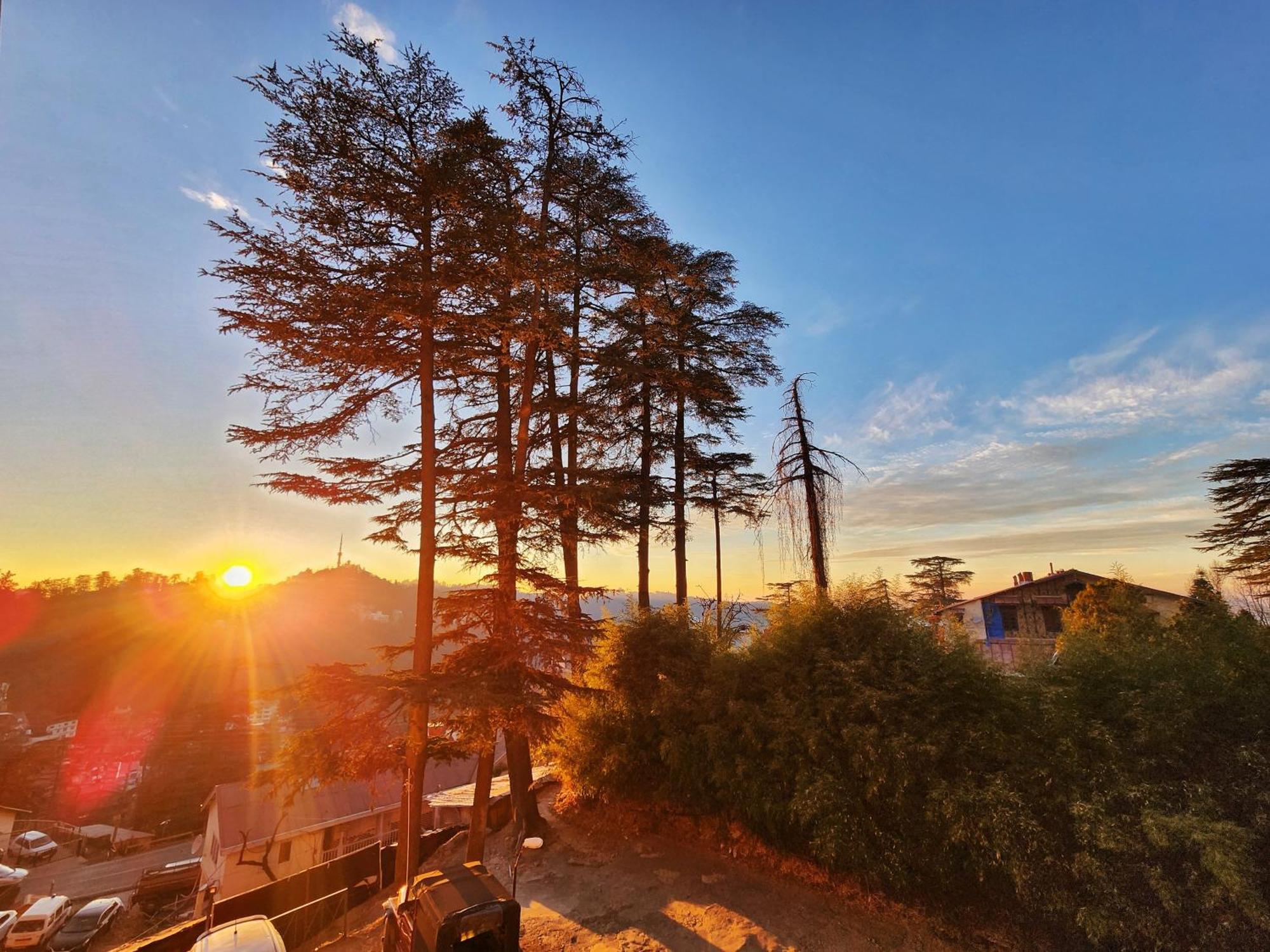 Hotel Pineview Shimla Dış mekan fotoğraf
