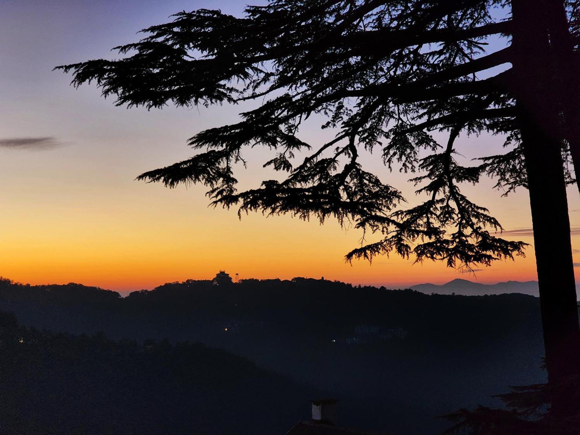 Hotel Pineview Shimla Dış mekan fotoğraf